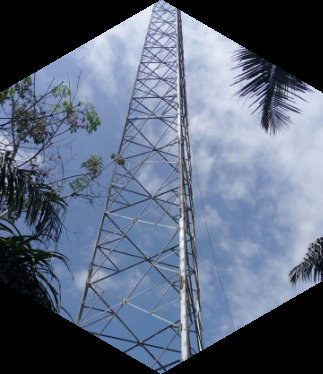 Green field tower